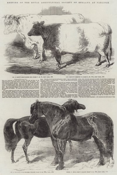 英国王立農業協会の会合、カーライル 作： Harrison William Weir